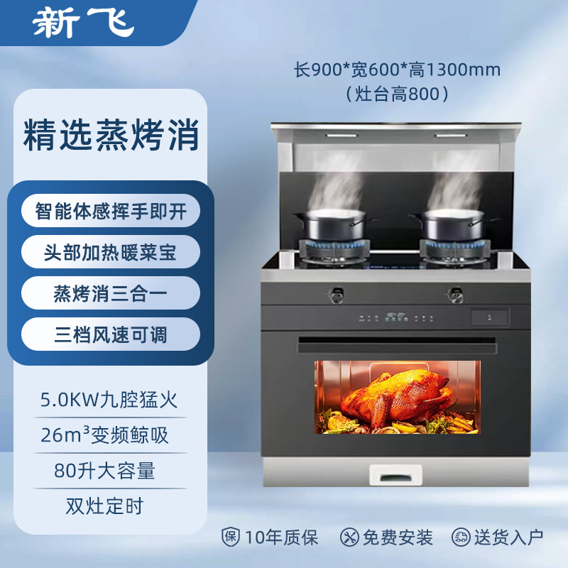 900 찜 및 로스팅 표준 모델