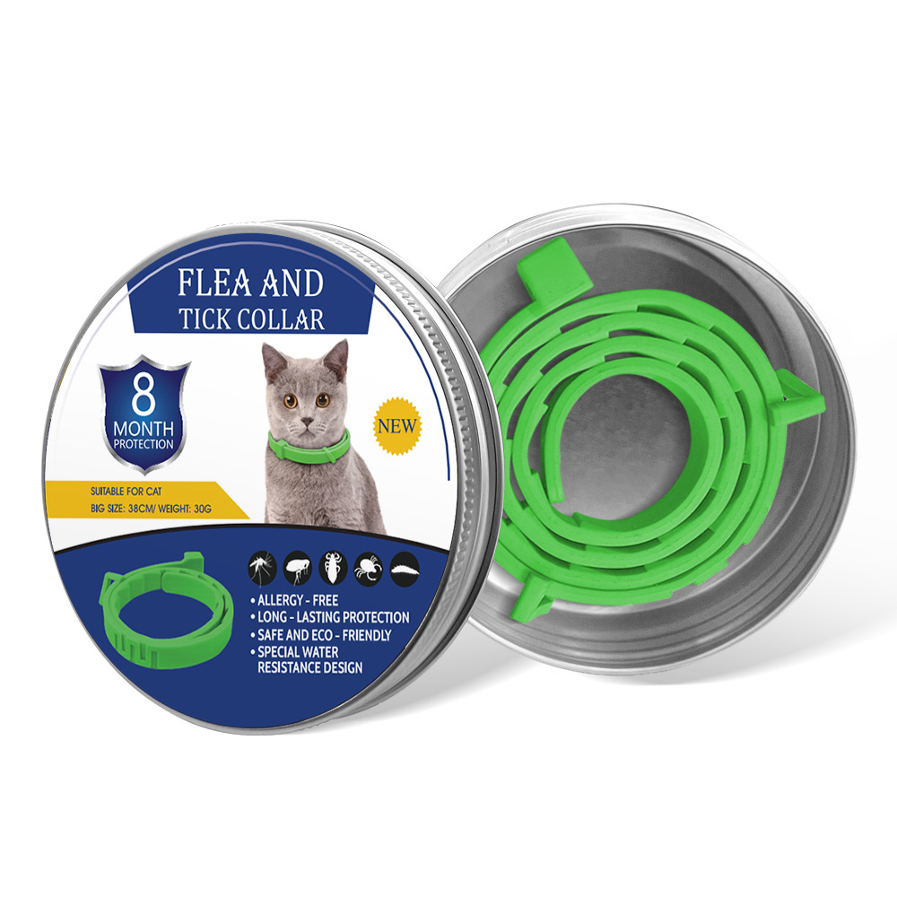 녹색 고양이 디자인 선물 세트