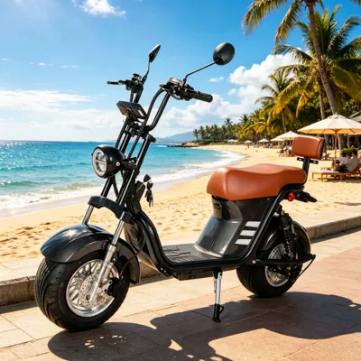 Elektrikli motosikletlər – motorcycles, Harley-style electric scooters wholesale