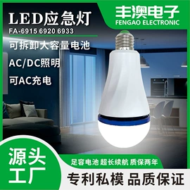 野营/露营灯;手电筒;投光灯