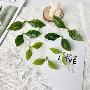 �ɲ��S������軨�~�ӷ�����~����DIY����Ҿ��b��z���~��