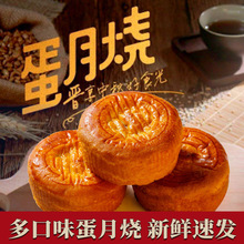 ܛƤAʽtSС40gl