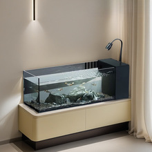 五线超白新款鱼缸桌面客厅制氧小型生态造景一体式侧滤