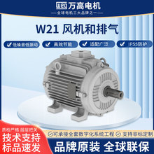 �����f��W21�ş��Ś�늙C�x܇�ƄӸ�Ч����WEG���ஐ��늙C�R�_