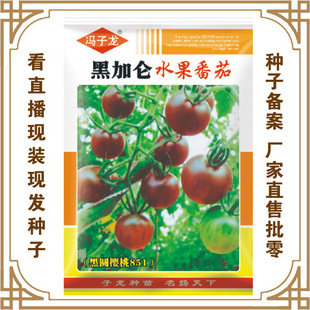 �ڼӁ�ˮ������ �T�����N�I�S��ֱ�����������ش���ˈ@�߲˷N