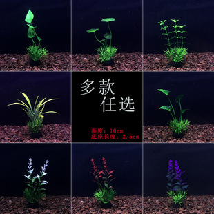 ˮƷl~쾰ˮֲ΢^ɳPٻٲb[