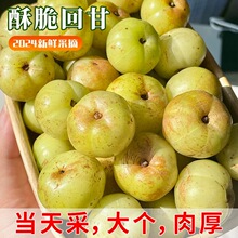 ������N�͸̹��Fժ�͸ʹ����r�����ţ�ʹ�������͸��ЋD��ˮ��