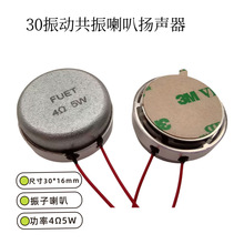 �¿� �����w�а�Ħ���������� 30MM��ӹ������ȓP������4&Omega;5W