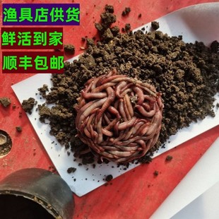 �t�����w���b����~�D���l��̖���D�ϴ����~���D�r����S���]