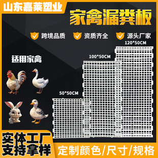 �u��©�S���r�u���Z�Ӻ������u�� �������i�a���u�W��©�S��