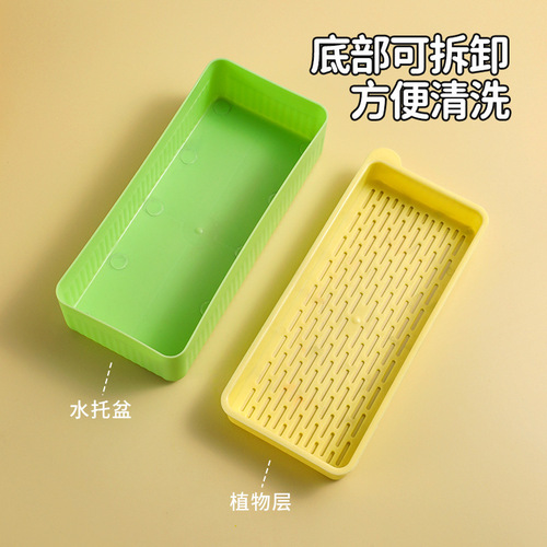 Cross-border pet cat grass planting box soilless cultivation cat grass set cat snack hydroponic grass planting pet supplies