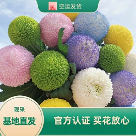 鲜切花;鲜花花艺制品;手捧花