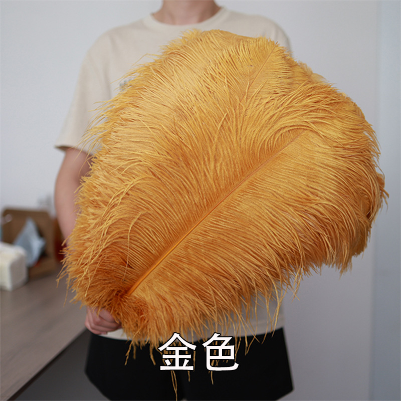 55 - 60cm plumas de avestruz de Sudáfrica al por mayor accesorios de ropa DIY accesorios materiales accesorios de diseño de boda lana de avestruz