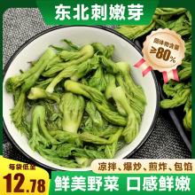 【东北特产】刺嫩芽山菜春菜刺老芽凉拌蘸酱菜炒鸡蛋鲜嫩家庭美味