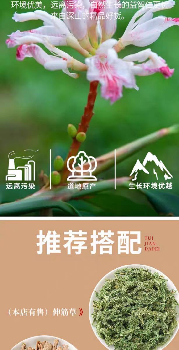Yi Zhi Ren (Alpinia oxyphylla) — Hainan Dried Food-Herb Fruit, 500g overview