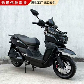 电动摩托车;两轮摩托车