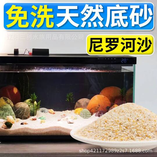 Fish Tank Landscape Disha Nile River Sand Makeup Sand Grass Tank South American Tank Rat Fish Bottom Sand River Sand Yellow Fine Sand Water Grass