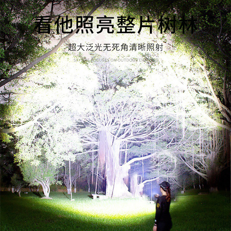 Transfronterizos nueva linterna al aire libre iluminación LED carga de luz alta emisión de emergencia portátil fábrica directa