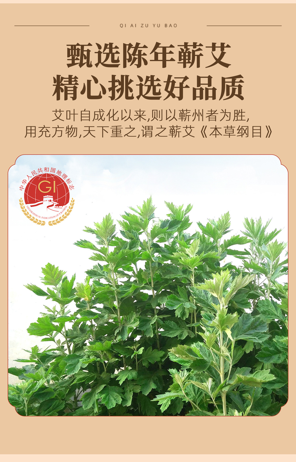 30 Pack Mugwort Foot Soak Bags Qi Ai Herbal Foot Bath Powder for Home Use quality and texture