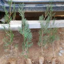 һlؘɰ؂Ȱؘ؈Aɘ،Ĺذؘ