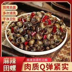 スパイシーでジューシーなカタツムリ、調理済みカタツムリ、子供の頃の懐かしいスナック、スパイシーミートカタツムリ、袋を開けてすぐに食べられます