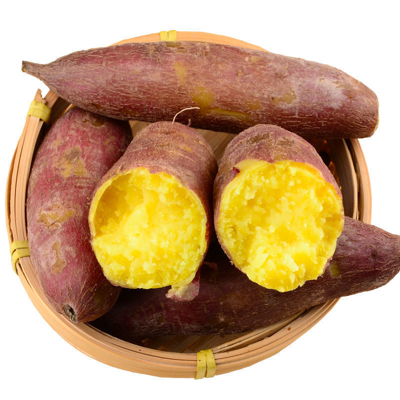 엄선된 : 밤고구마 5kg개