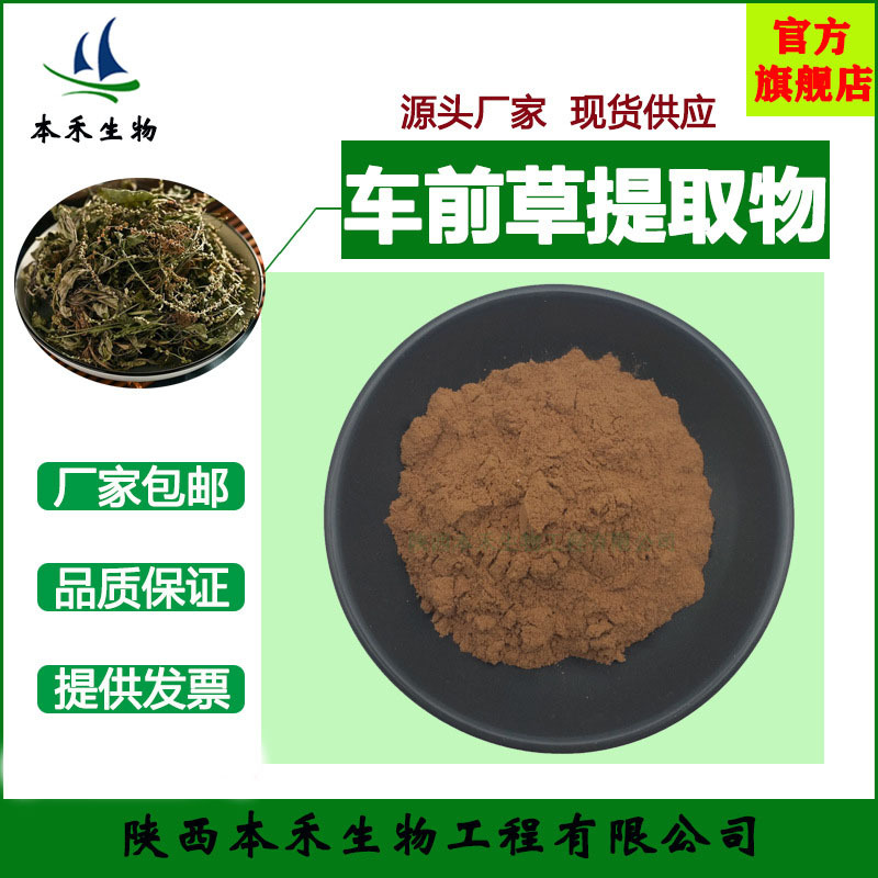 车前草提取物 10：1  车前草粉  车前草皂苷  量大从优 本禾