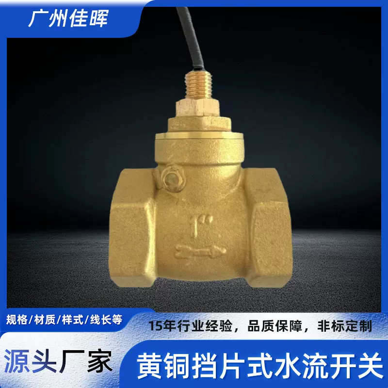 厂家供应黄铜挡片式流量开关LT-DN25-T 流量传感器挡板式水流开关