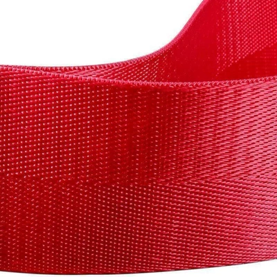 Trailer rope/net/strap Remove before Flight Red