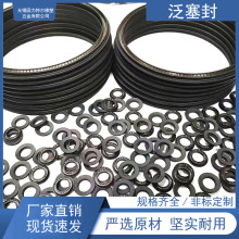 RV轴用泛塞密封圈LTULIIE固力特尔V型弹簧蓄能圈油封PTFE+碳纤维