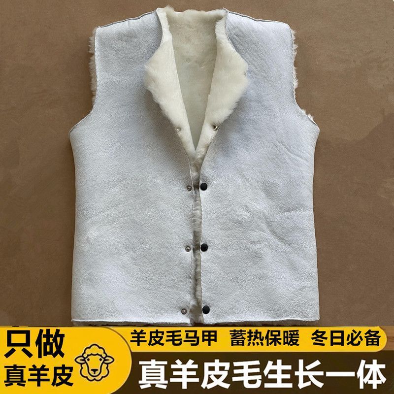 1纯羊皮毛马甲男女中老年坎肩整张羊皮毛一体保暖外套羊皮背心|undefined