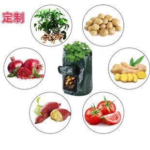 ���������Nֲ�� �����t�����^�Nֲ�� ��ͥ�̨�N����ظ��߲˻���