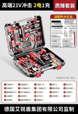 Repair kit, Repair Combination Tool Collection, Complete - 21v-shock-2-batteries-1-charge-quality-set-gift-pack