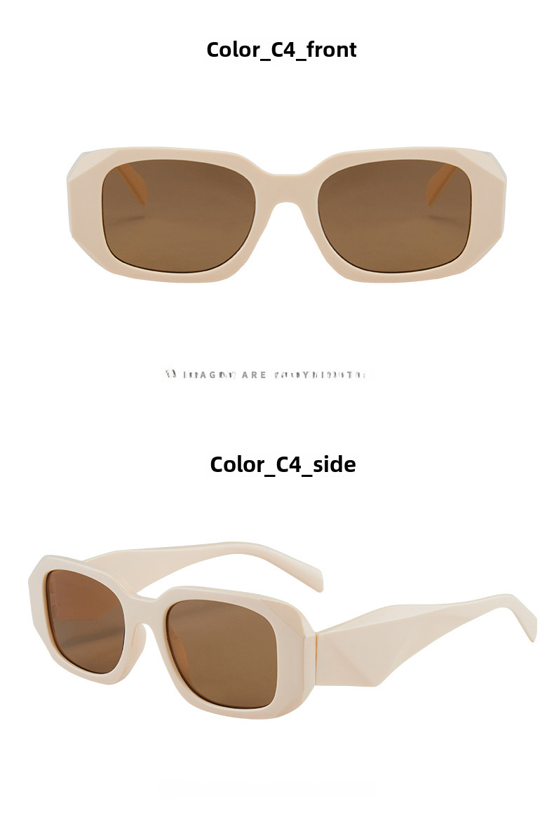 Polygon Women's Sunglasses Small Frame Fashion Street Glasses_voghion.com