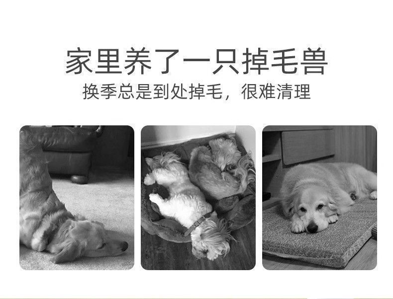 fd5880c7-6306-40d5-abe9-0e96e8a92a61.jpe