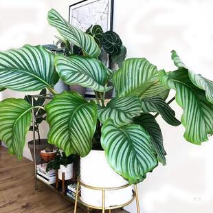 �O�����������Բ��~�^�~ֲ���҃��k�������͏d�ļ��A�~��������ȩ