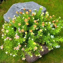 仿真花满天星单支假花插花装饰田园风格客厅庭院摆设电视柜摆件