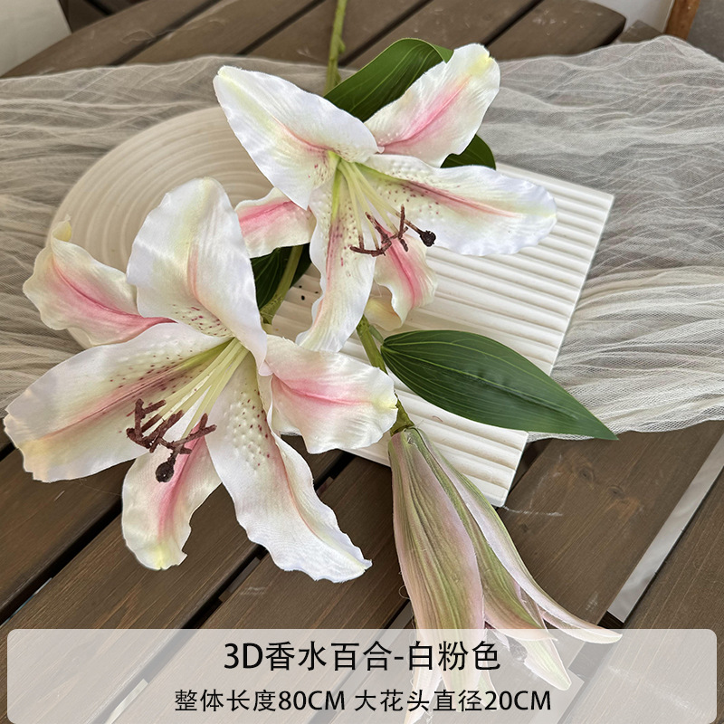 흰색과 핑크