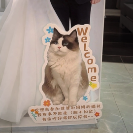 同款猫咪迎宾牌kt板diungzhi手举牌网红宠物diungzhi狗狗kt板婚礼