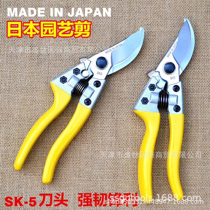 日本SK5钢修枝剪 果树园艺剪刀 水果花木剪 果树花木园林工具高碳