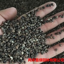 �S�����l �������N�Ӵ��ﲥ�N���@���ȶ��N�� ���^�������ܷN��