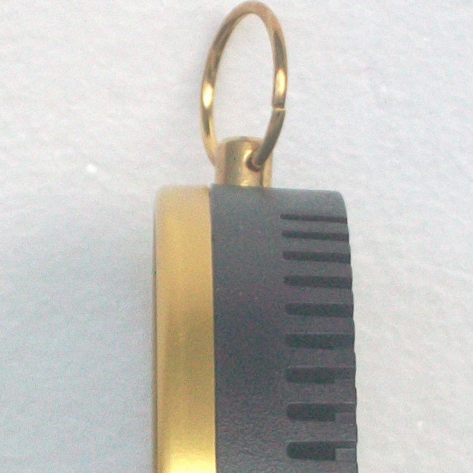 TH9100-10CMֱ����ʪ�ȼƣ����İ����ɫ