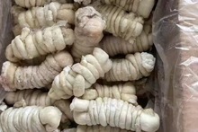 新鲜羊捆肠网红羊肥肠生羊肠子羊杂碎羊下水生羊肠冷冻批发一整箱