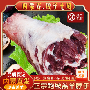 ���ڃ��ɹ�ɢ�B���r���ӬF�����i����������^��Ǽ���s�ǰ��]