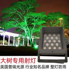 LED照樹燈LED射燈LED12W24W36W投光燈景觀照 明照柱子燈