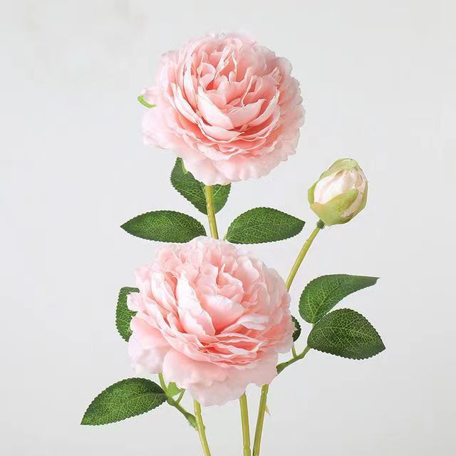 洋牡丹の造花は花の家庭の客間に花束を飾っています。|undefined