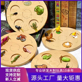 拼图、拼板;其他益智玩具;儿童早教教具