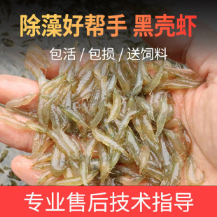 �ښ��r���B�������^�p�r�坍���r��ˮ�r���w�����坍�r�����ˮ