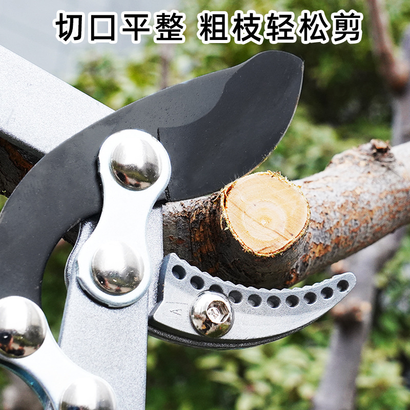 Los fabricantes venden al por mayor tijeras de ramas gruesas telescópicas, tijeras de poda de mango largo que ahorran mano de obra, árboles frutales de jardín, tijeras de podar de césped fuertes