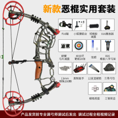 経済版の悪棒の複合の弓矢のスーツの屋外は鋼の玉の弓のアーチェリーの両用の滑車の弓矢の悪棒の複合を射撃します。